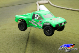 2015 DM 4WD Buggy 4WD Juni